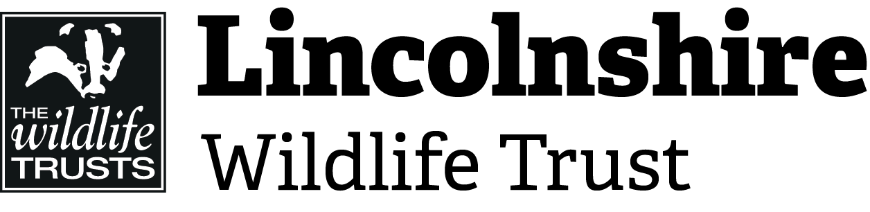 main-logo-transparent-background.png