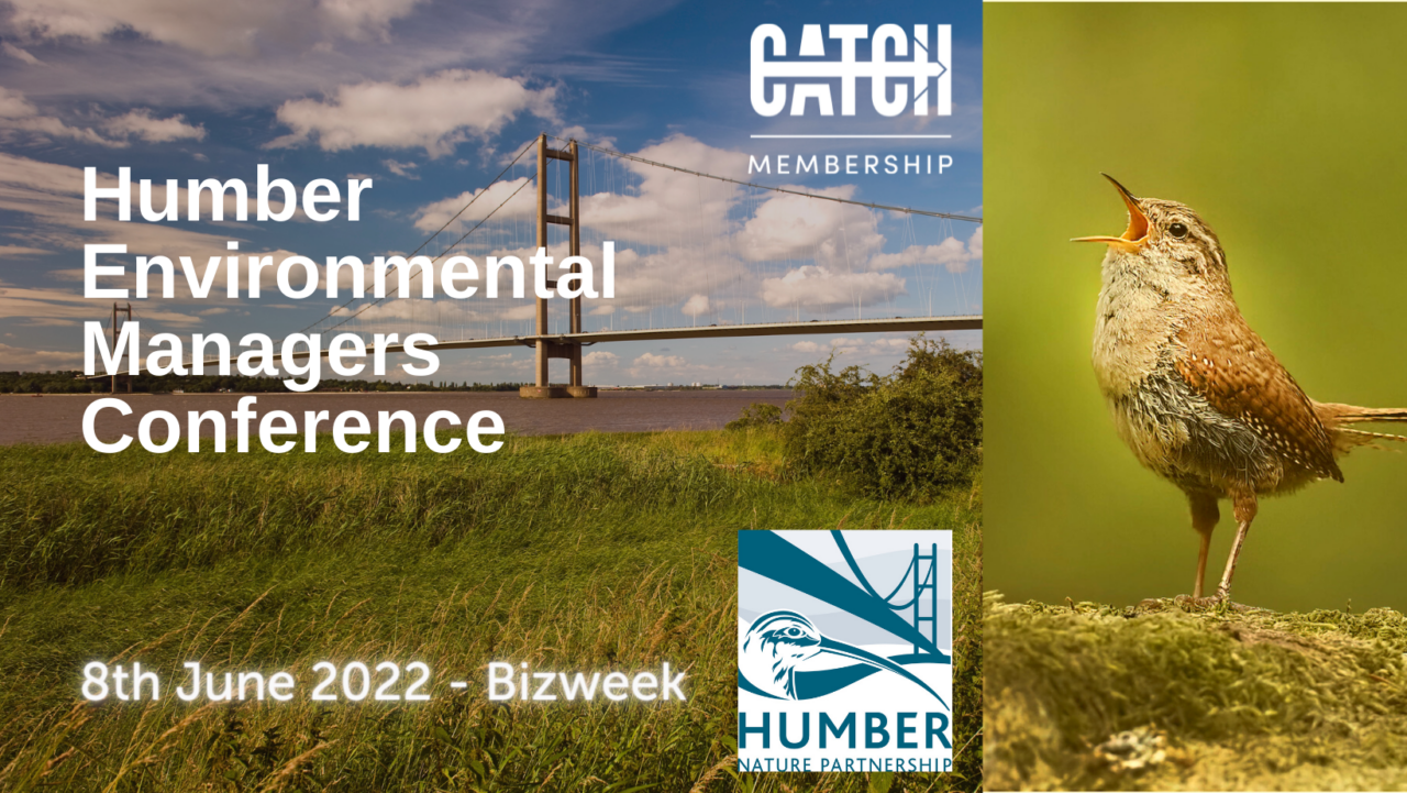 humber-bridge-grass-3-1280x721.png